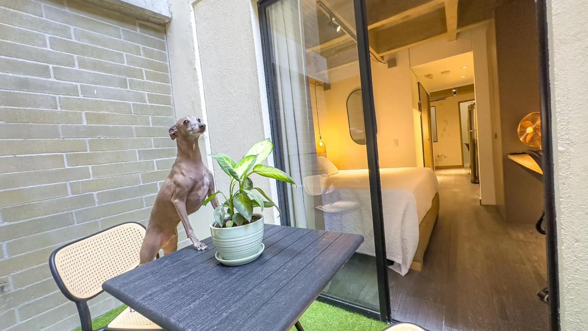 B 48 Living By B Rent Apartment Medellin